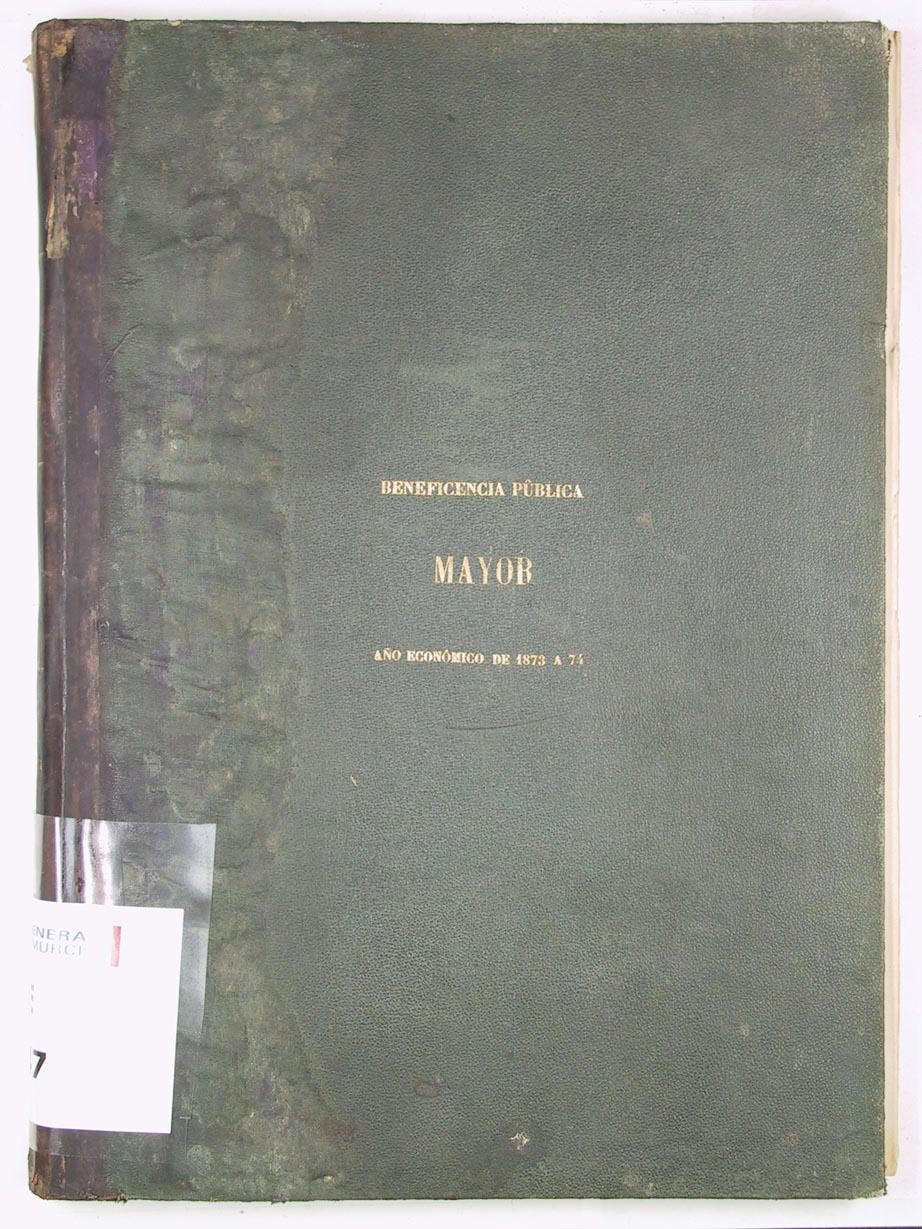 Libro mayor del Hospital. Año económico 1873-1874.